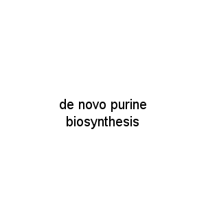de novo purine biosynthesis